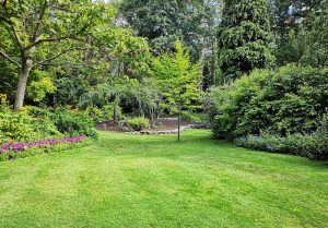 Optimiser l'expérience du jardin à Andancette