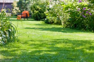 travaux jardin et paysage Andancette